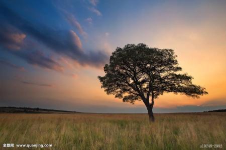 外交部:中国高度重视新冠疫苗安全性和有效性
