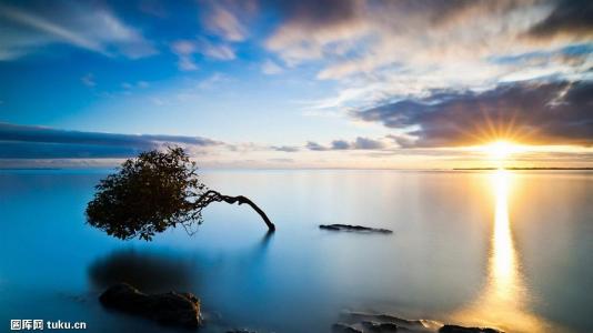 й½ϳƫ ȫůorȫ䣿