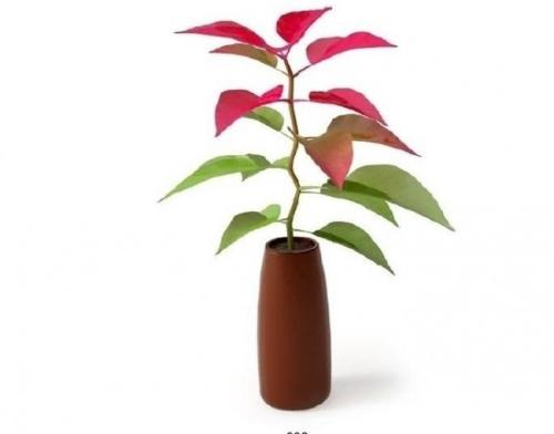 国办印发《意见》:促进养老托育服务健康发展