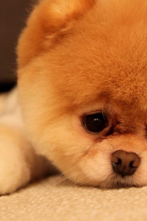 ¶àµØ³ǫ̈Âä»§ÐÂÕþ½µµÍÃż÷£¬ÊÍ·ÅʲôÐźţ¿