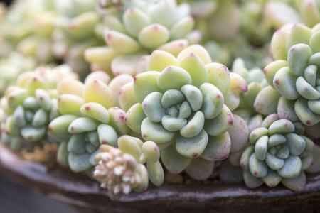 ÌØÀÊÆÕÇ©ÊðÐÂÒ»ÂÖÖ§³ö·¨°¸Ó¦¶ÔÈÕÇ÷¶ñ»¯Ð¹ÚÒßÇé