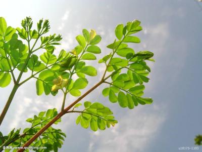 ֹ棡㶫ҵӲʵȫ˻ŽչֶೡڿƼ