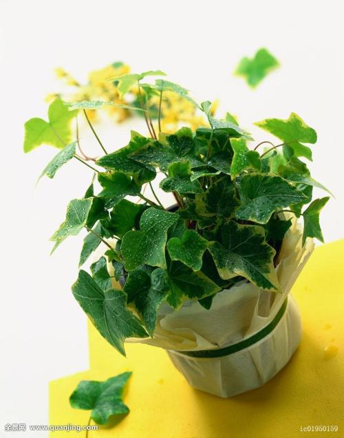 ¹ú¼ÒÌú·¾Ö:ÒÔÌú·¸ßÖÊÁ¿·¢Õ¹Îª