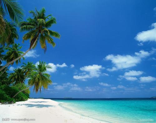 ³¯ÏÊÐû²¼³É¹¦ÊÔÉäÐÂÐ͹ÌÌåȼÁÏÖ޼ʵ¯µÀµ¼µ¯