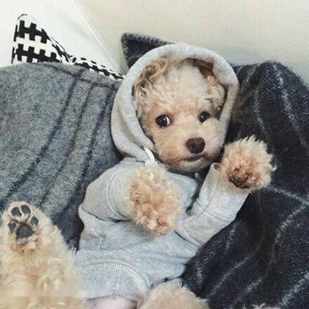 ͻƣйͱ׼ֱ7.7%11.3%