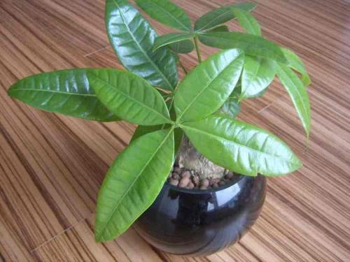 最新汇总!全国共有22个地区调整为中风险地区