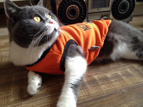 ¿Æ¼¼²¿£º¿Æ¼¼»î¶¯ÆÀÉó£¬ÇëÍÐÐÐΪ±ØÐëÑÏËà³Í´¦£¡